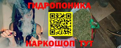 ECSTASY Будённовск