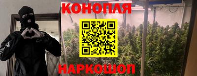 ECSTASY Будённовск