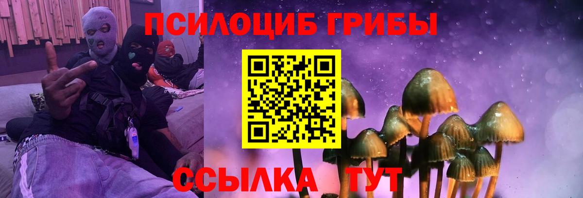 Люберцы  Псилоцибиновые грибы GOLDEN TEACHER  Вход с VPN 