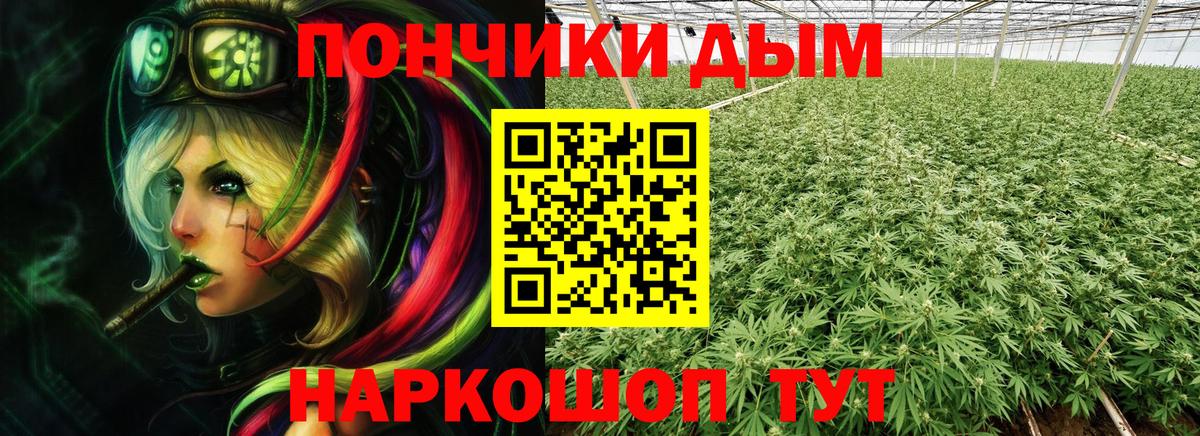 Конопля Bruce Banner Люберцы
